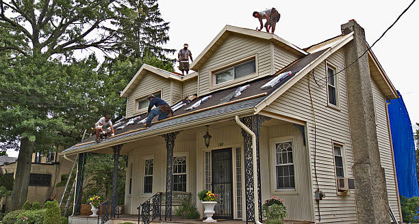 Best Roof Gutter Cleaning  in Tipton, IA
