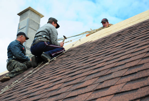 Best Flat Roof Repair Services  in Tipton, IA