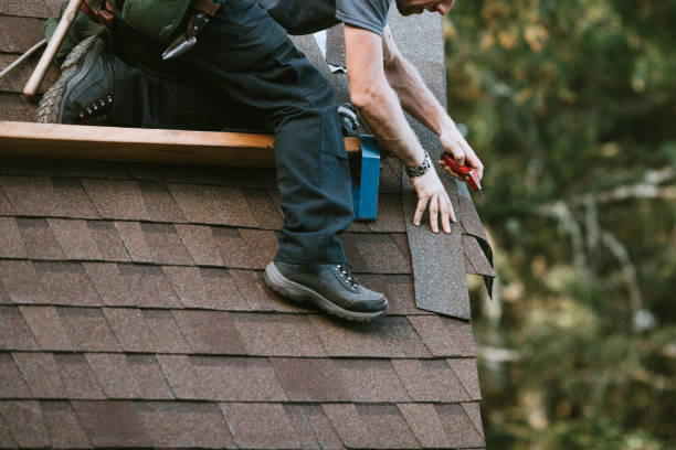 Best Storm Damage Roof Repair  in Tipton, IA