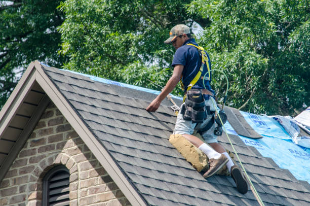 Roof Gutter Cleaning in Tipton, IA